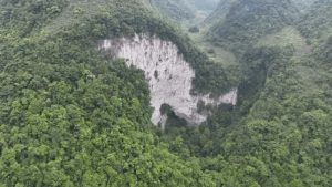Read more about the article Floresta é descoberta dentro de buraco gigante na China