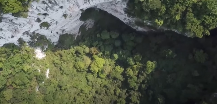 You are currently viewing Coisa de cinema: floresta misteriosa é encontrada no fundo de buraco enorme na China
