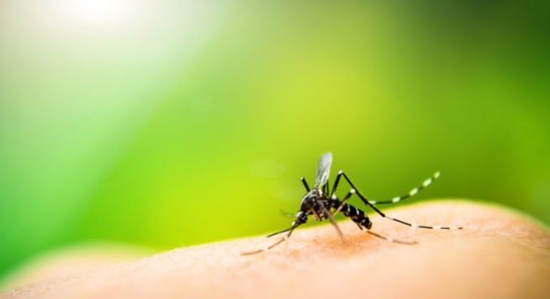 You are currently viewing DF tem segunda morte por dengue confirmada em 2022