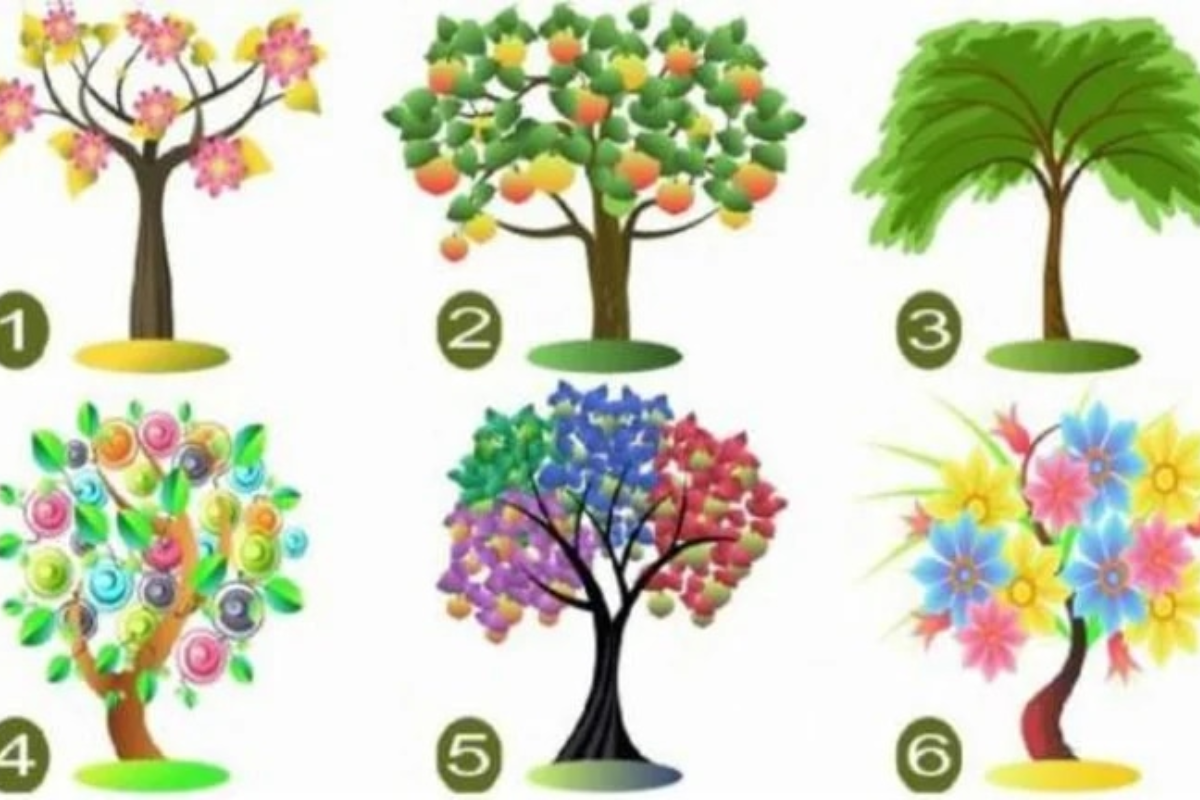 You are currently viewing Escolha uma árvore e entenda o que isso revela sobre sua personalidade