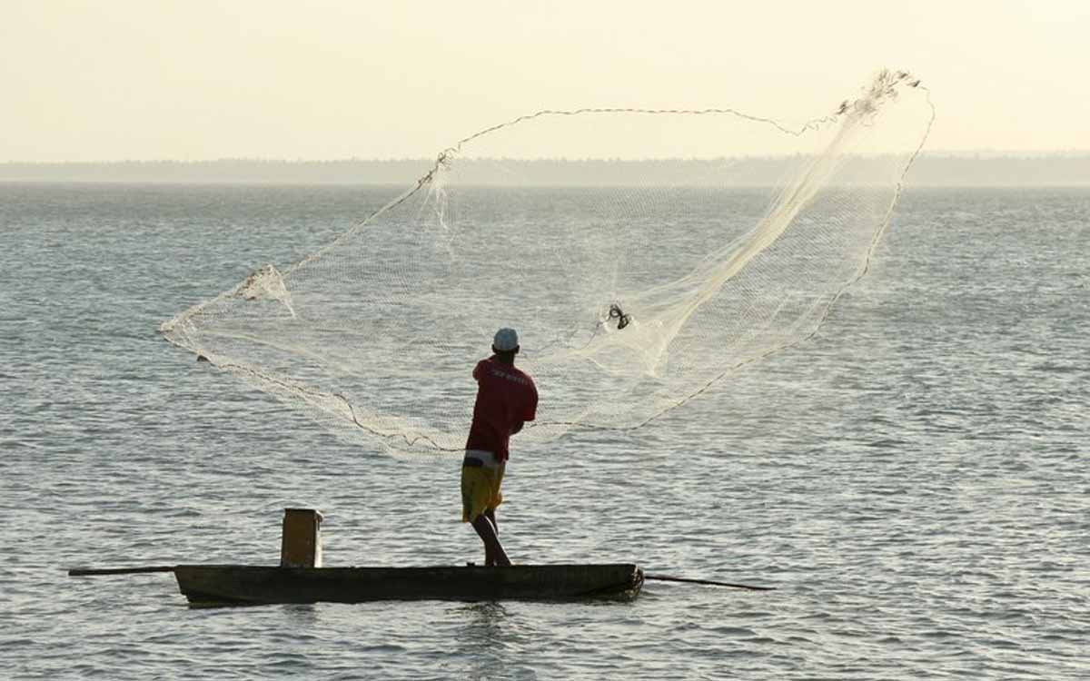 You are currently viewing Mais de 12,7 mil pescadores profissionais tem sua licença suspendida