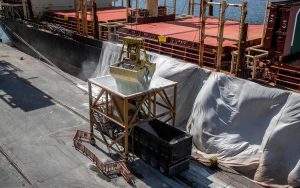 Read more about the article Importação em alta e queda da demanda fazem fertilizantes ficarem represados nos portos e navios