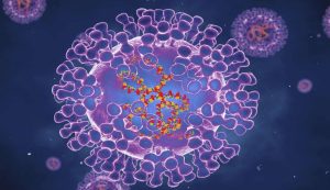 Read more about the article OMS confirma mais de 1.000 casos de varíola dos macacos em 29 países
