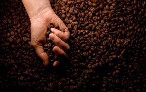 Read more about the article Funcafé transfere R$ 5,49 bilhões para serem utilizados nas linhas de crédito do setor cafeeiro