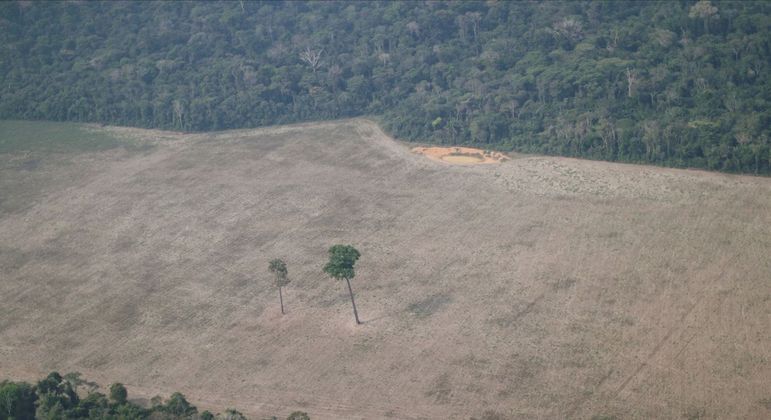 You are currently viewing Checamos: Amazônia queima mesmo sendo úmida