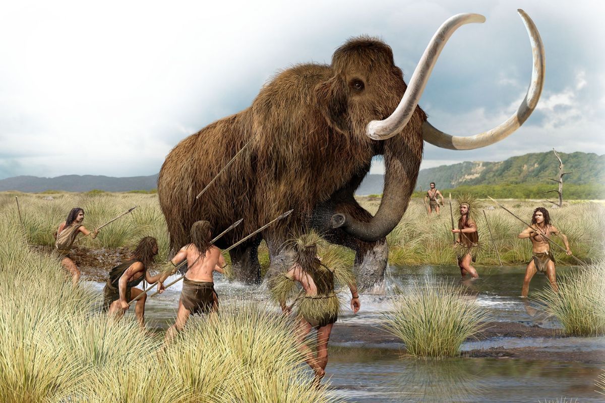 You are currently viewing Filhote de mamute da Era do Gelo é encontrado no Canadá