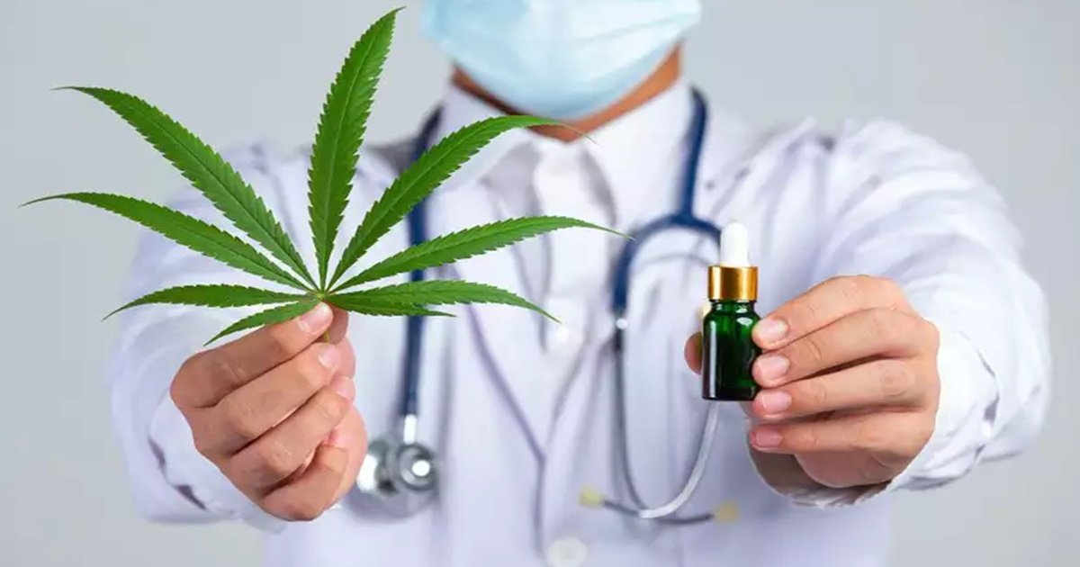 You are currently viewing Medicamentos à base de Cannabis serão vendidos nas farmácias em breve