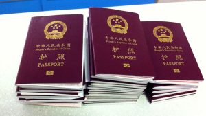 Read more about the article Irmãs gêmeas trocam passaportes e se passam uma pela outra 30 vezes