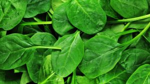Read more about the article TRÊS folhas verdes que você deveria comer todos os dias