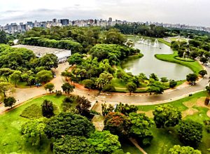 Read more about the article São Paulo é o destino mais procurado para viagens nacionais