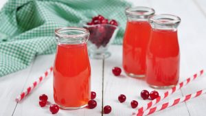 Read more about the article Diferenciado e nutritivo: confira 4 benefícios do suco de cranberry