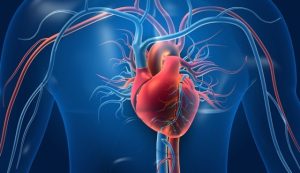 Read more about the article Insuficiência cardíaca: entenda como reconhecer os sinais da condição