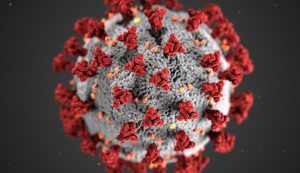 Read more about the article Nova variante do vírus da Covid-19 preocupa cientistas