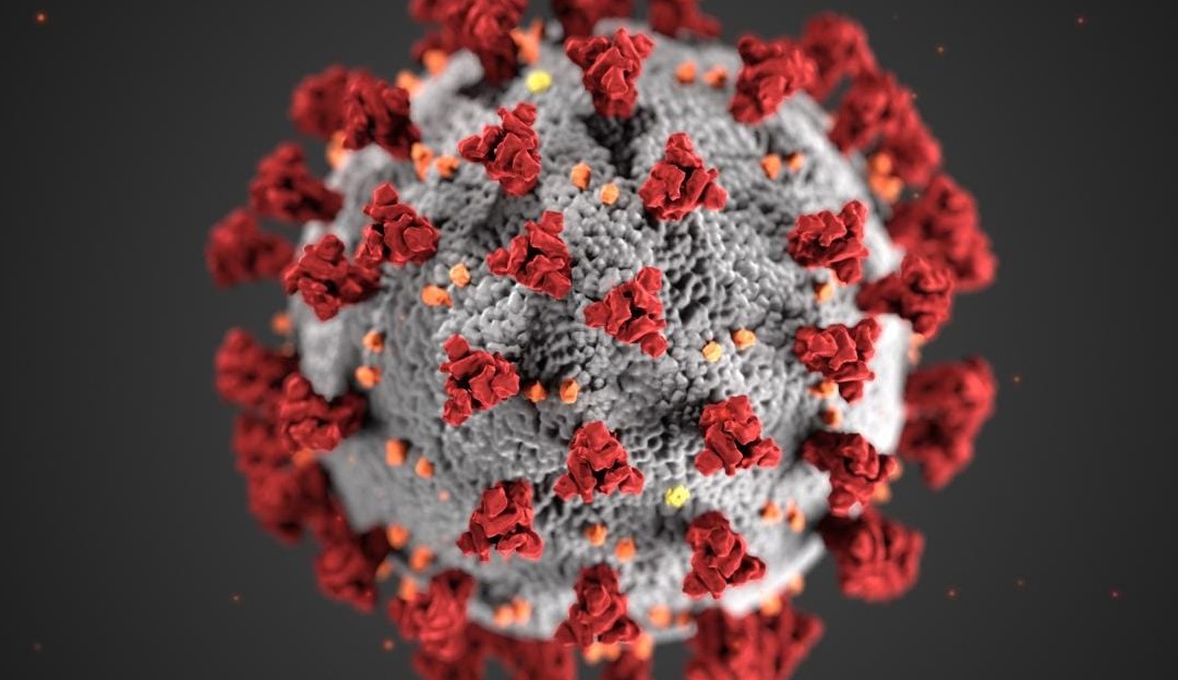 You are currently viewing Nova variante do vírus da Covid-19 preocupa cientistas
