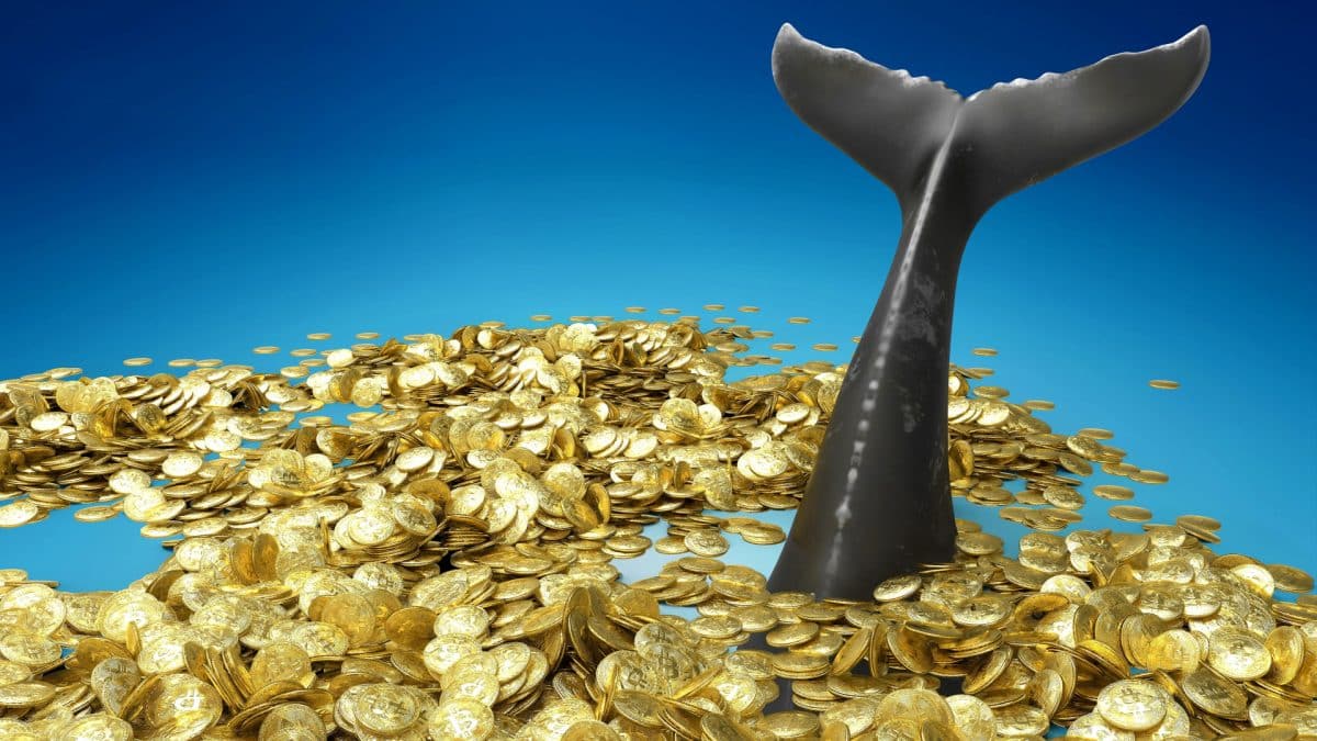 You are currently viewing Maior baleia de bitcoin move R$ 8,3 bilhões após ligeira alta