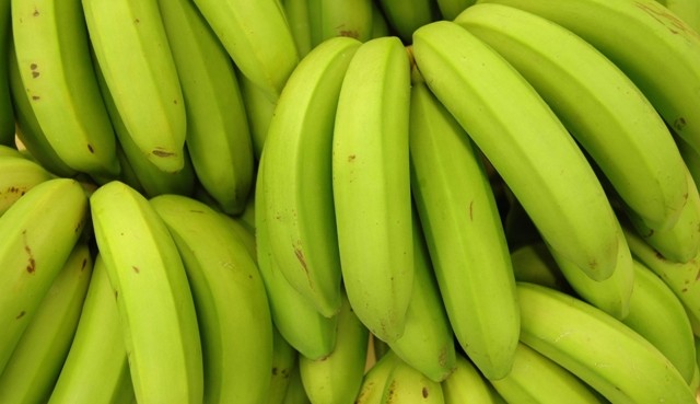 You are currently viewing Estudo aponta que comer banana verde pode ajudar na prevenção de câncer
