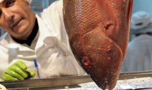 Read more about the article Dobra o faturamento com exportações de peixes no Brasil