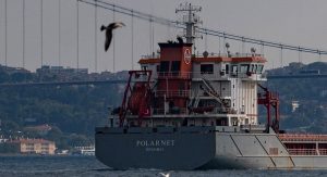 Read more about the article Primeiro navio com cereais ucranianos chega à Turquia