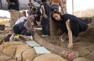 Read more about the article Presa de elefante de 400 mil anos é descoberta em Israel