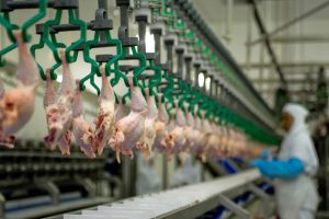 Read more about the article Brasil é o maior exportador de carne de frango do mundo