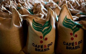 Read more about the article Total da safra dos Cafés do Brasil é composto por 64% de produção de café arábica e 36% de café conilon a 36%