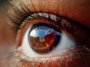 Read more about the article Tecnologia REVOLUCIONÁRIA escaneia a retina para descobrir risco de doenças graves; confira