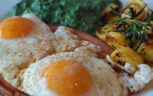 Read more about the article Pessoas que comem ao menos cinco ovos por semana são mais saudáveis