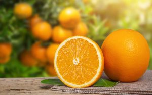 Read more about the article Citros: Preço da laranja fica estável mesmo com o consumo limitado