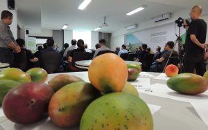 Read more about the article Frutas e hortaliças para países da OCDE poderão ser certificadas por fiscais do Mapa