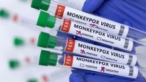 Read more about the article OMS mantém nível de alerta máximo para varíola do macaco
