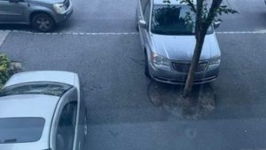 Read more about the article Morador se irrita com vizinha que estaciona de forma estratégica para impedi-lo de parar na vaga