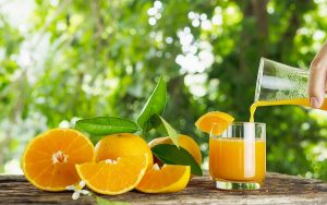 Read more about the article Citros: Exportações de suco de laranja para os EUA aumentaram 60% na parcial da safra 22/23
