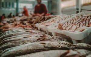 Read more about the article Venda de pescado foi fiscalizada pela Operação DNA 2022 em 18 estados e no DF