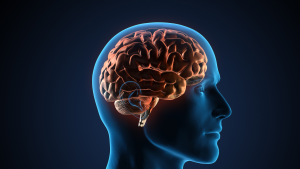 Read more about the article É possível potencializar funções cerebrais com a Vitamina D