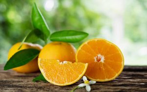 Read more about the article Citros: Cotações da laranja continuam estáveis mesmo com vendas aquecidas