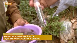 Read more about the article Vacina contra a dengue do Butantan atinge eficácia de 79,6%