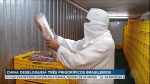 Read more about the article Três frigoríficos brasileiros são desbloqueados para exportação de carne à China