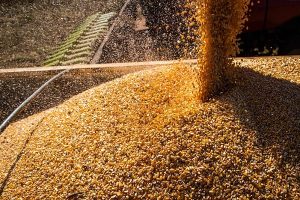Read more about the article CNA eleva estimativa do ‘PIB da agropecuária’