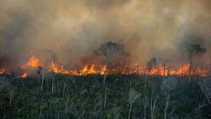 Read more about the article Amazônia corresponde a quase metade da área queimada no Brasil em 2022