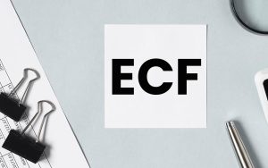 Read more about the article ECF 2023: programa validador está com instruções específicas