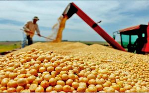 Read more about the article Com produção esperada de 64,4 sacas por hectare, Rally da Safra avalia lavouras de soja em MG