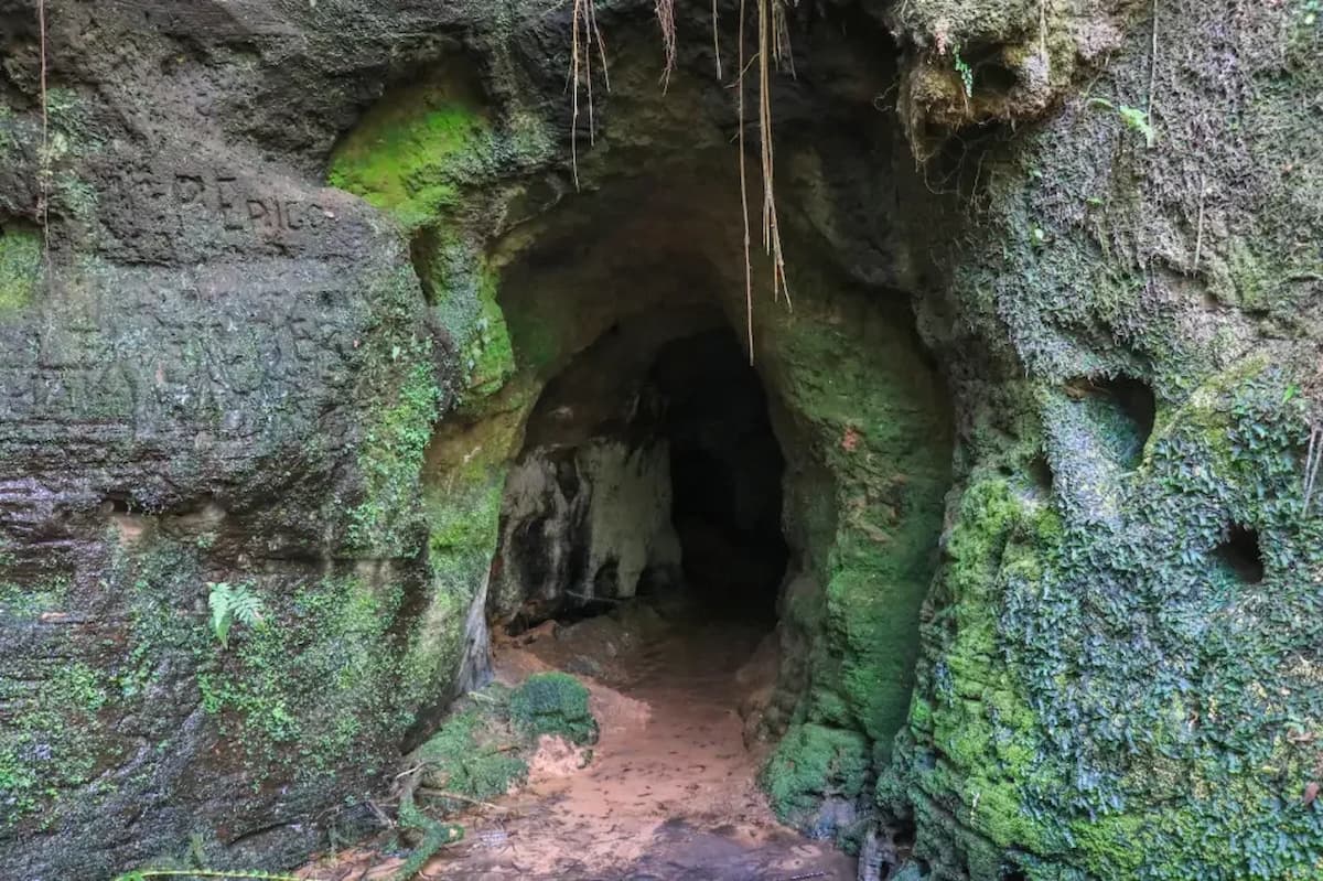 You are currently viewing Abrigo de até 200 mil anos de preguiça-gigante foi descoberto no Rio Grande do Sul