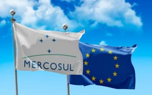 Read more about the article Acordo União Europeia-Mercosul depende de compromissos ambientais e texto mais rígido, diz eurodeputada