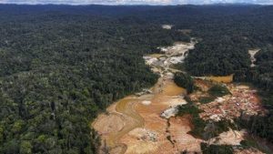 Read more about the article Amazônia e cerrado têm desmatamento recorde em fevereiro, 2º mês do governo Lula