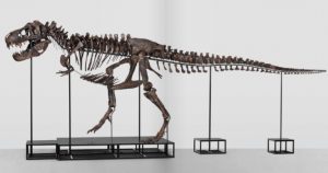 Read more about the article INÉDITO: Tiranossauro rex será leiloado na Suíça. Você compraria?