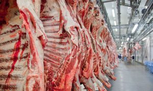 Read more about the article Mesmo com autoembargo, navios do Brasil seguem com carne bovina para a China
