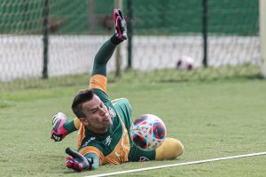 Read more about the article Fluminense revela quantos pontos Fábio levou após pancada contra o Volta Redonda