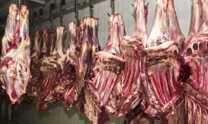 Read more about the article Rússia retoma importações de carne bovina brasileira
