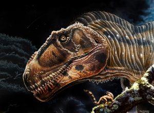 Read more about the article IA é usada para analisar fósseis de dentes de dinossauros no Reino Unido