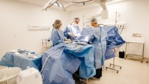 Read more about the article Hospitais universitários são referência em transplantes de órgãos